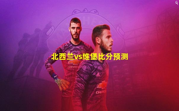 北西兰vs维堡比分预测