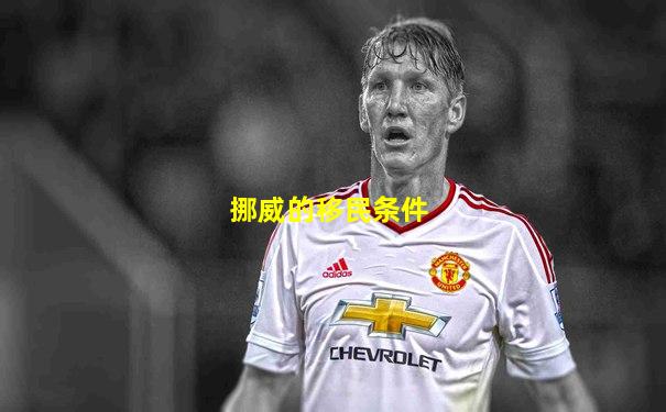 挪威的移民条件
