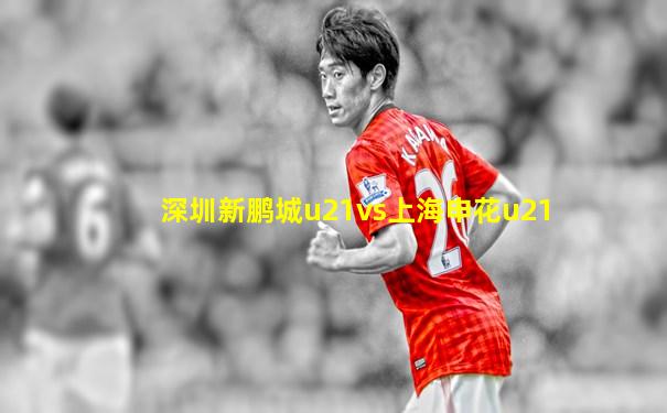 深圳新鹏城u21vs上海申花u21
