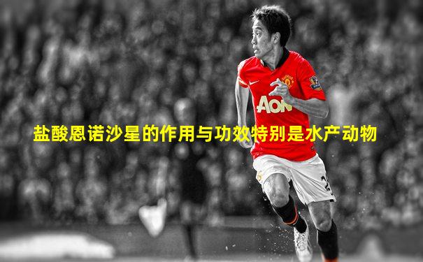 盐酸恩诺沙星的作用与功效特别是水产动物