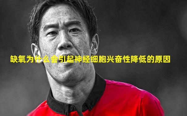 缺氧为什么会引起神经细胞兴奋性降低的原因