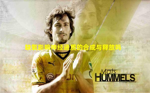 缺氧影响神经递质的合成与释放吗